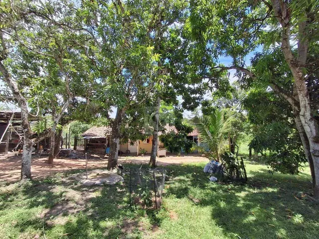 Imagem 14: Sítio para Venda no Povoado Carlos Torres, Salgado, Sergipe