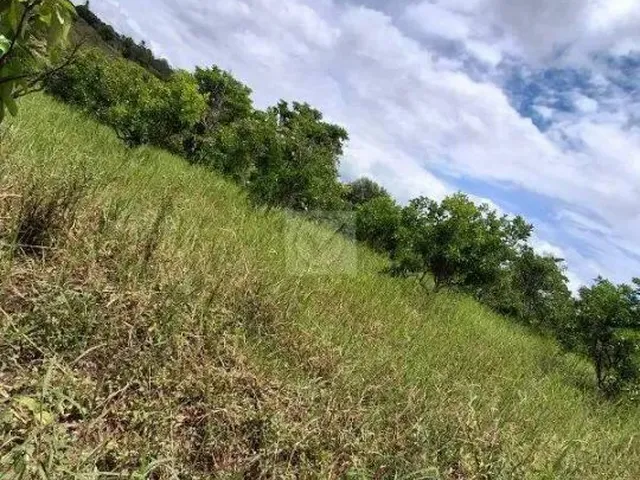 Imagem 6: Sítio para Venda no Povoado Carlos Torres, Salgado, Sergipe