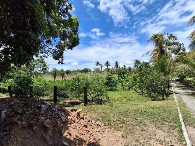 Imagem 12: Sítio para Venda no Povoado Carlos Torres, Salgado, Sergipe
