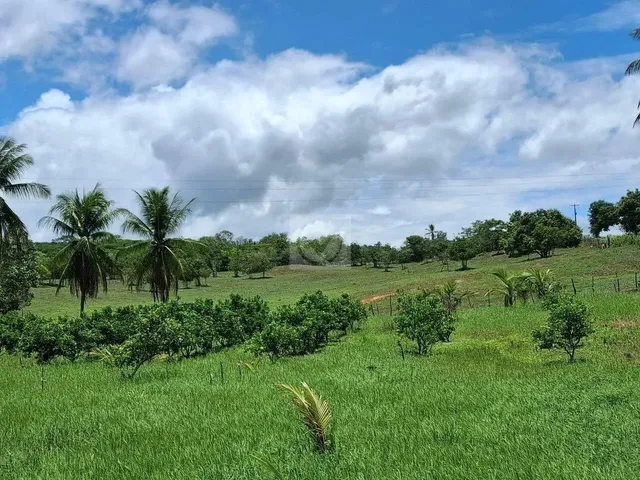 Imagem 7: Sítio para Venda no Povoado Carlos Torres, Salgado, Sergipe