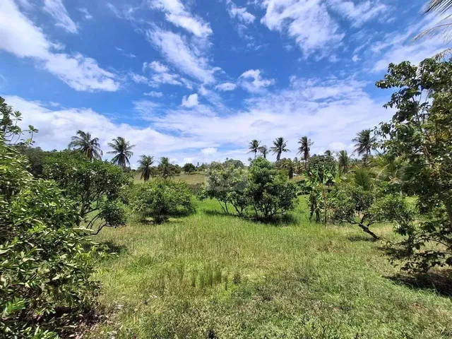 Imagem 5: Sítio para Venda no Povoado Carlos Torres, Salgado, Sergipe