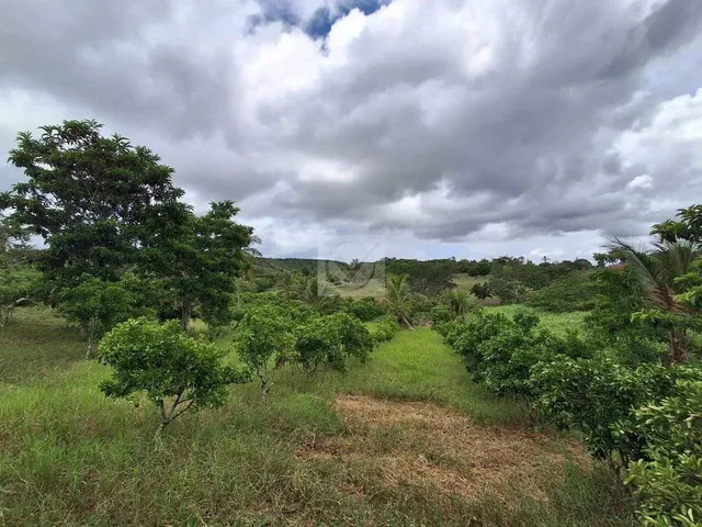 Imagem 8: Sítio para Venda no Povoado Carlos Torres, Salgado, Sergipe