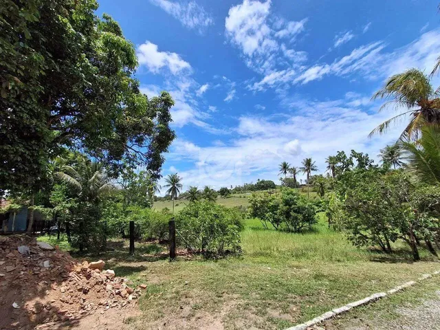 Imagem 4: Sítio para Venda no Povoado Carlos Torres, Salgado, Sergipe