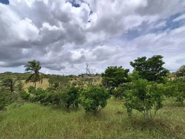 Imagem 9: Sítio para Venda no Povoado Carlos Torres, Salgado, Sergipe