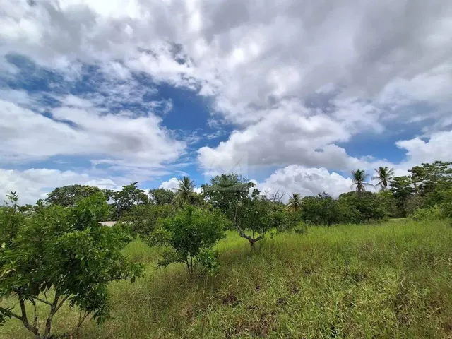 Imagem 15: Sítio para Venda no Povoado Carlos Torres, Salgado, Sergipe
