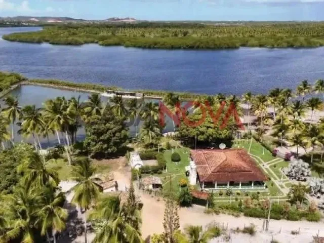 Imagem: Excelente Fazenda em Estância com 160 Tarefas