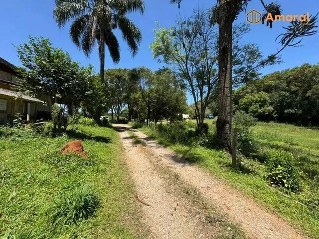 Imagem: Oportunidade-100 Plana - Asfaltada