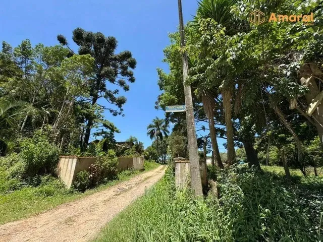 Imagem 4: Oportunidade-100% Plana - Asfaltada