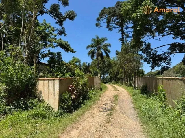 Imagem 10: Oportunidade-100% Plana - Asfaltada