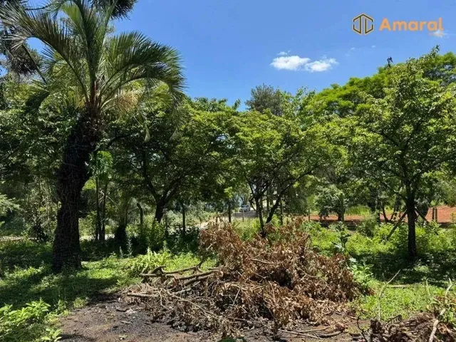 Imagem 9: Oportunidade-100% Plana - Asfaltada