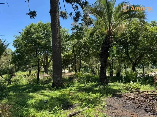 Imagem 14: Oportunidade-100% Plana - Asfaltada