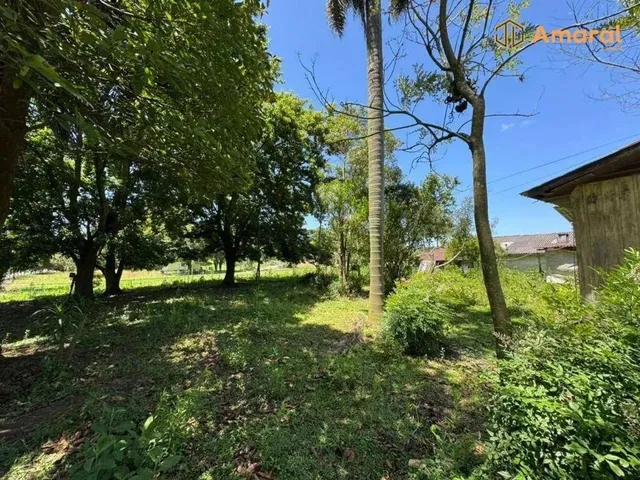 Imagem 11: Oportunidade-100% Plana - Asfaltada
