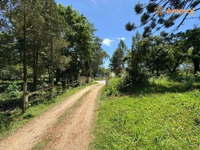 Imagem 2: Oportunidade-100% Plana - Asfaltada