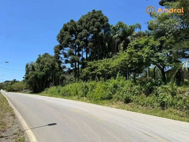 Imagem 15: Oportunidade-100% Plana - Asfaltada