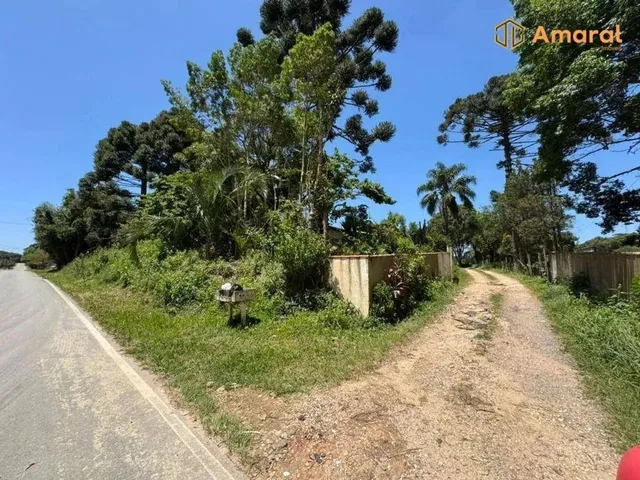 Imagem 8: Oportunidade-100% Plana - Asfaltada
