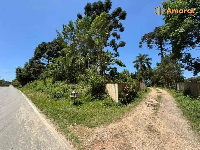 Imagem 7: Oportunidade-100% Plana - Asfaltada