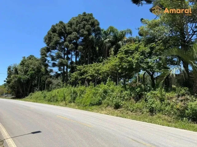 Imagem 13: Oportunidade-100% Plana - Asfaltada