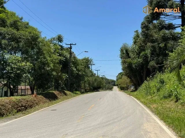 Imagem 3: Oportunidade-100% Plana - Asfaltada