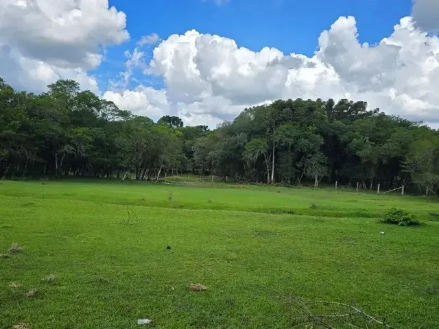 Imagem: Chácara À Venda Bairro Campo Novo