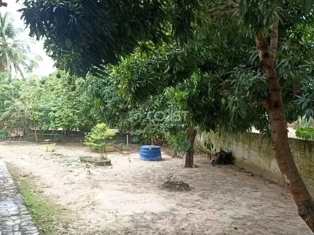 Imagem 3: Vende-Se Chácara no Povoado Lagoa Redonda, Pirambu