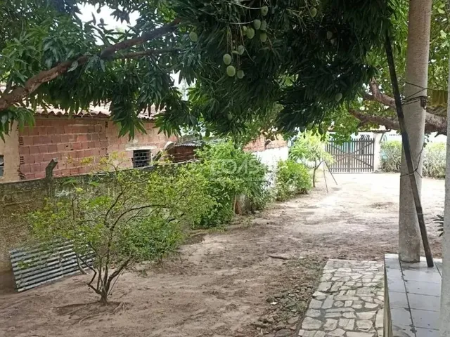 Imagem 8: Vende-Se Chácara no Povoado Lagoa Redonda, Pirambu