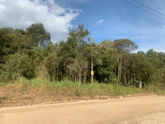 Imagem 6: Área no Roça Grande - Colombo Pr