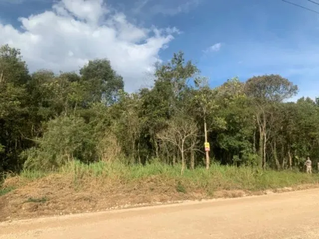 Imagem 3: Área no Roça Grande - Colombo Pr