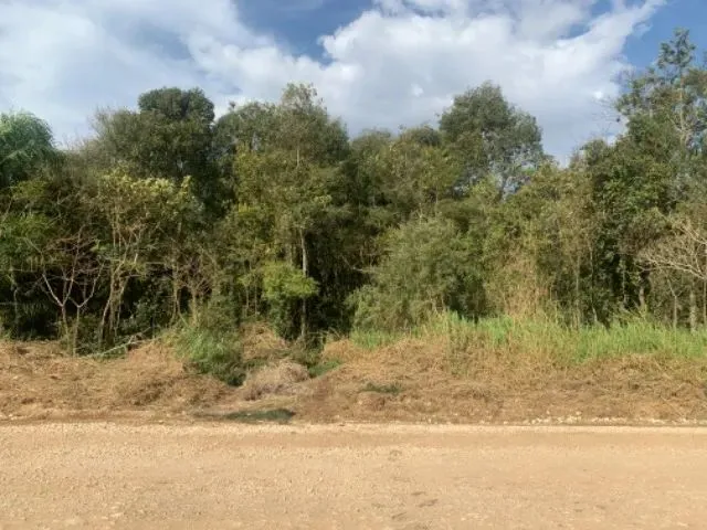 Imagem 5: Área no Roça Grande - Colombo Pr