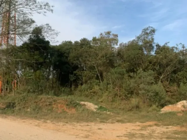Imagem 8: Área no Roça Grande - Colombo Pr