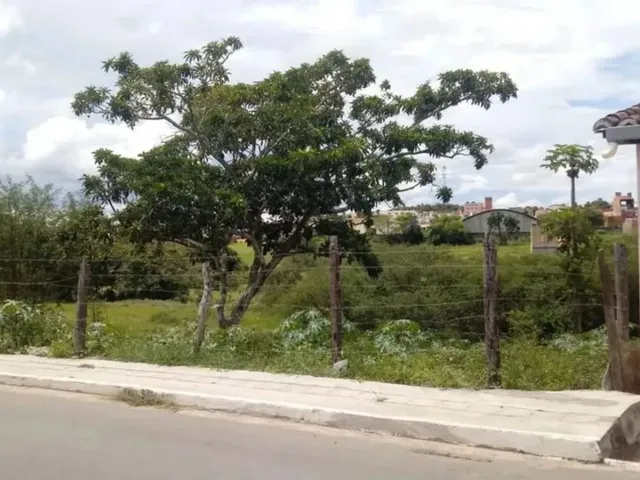 Imagem 5: Área Dentro de Lagarto - Oportunidade