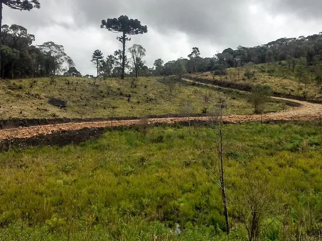 Imagem 2: Chácara Papanduva da Serra