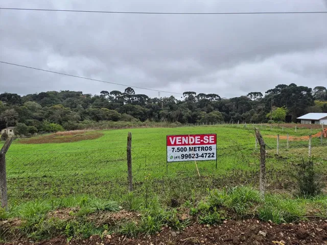 Imagem: Chácara 7.500M