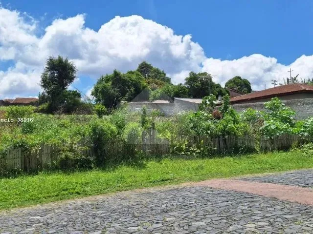 Imagem 7: Terreno 1.425,00 M² a Venda no Centro, Campo Largo / Pr, Prox Engerama Zr2 Até 4 Pvto