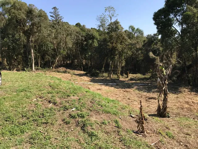 Imagem 7: Chácara em São José dos Pinhais
