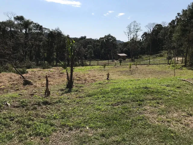 Imagem 9: Chácara em São José dos Pinhais