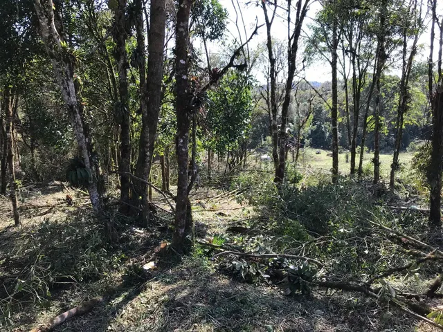 Imagem 2: Chácara em São José dos Pinhais