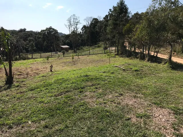 Imagem 5: Chácara em São José dos Pinhais
