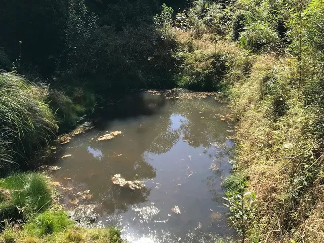 Imagem 6: Chácara em São José dos Pinhais
