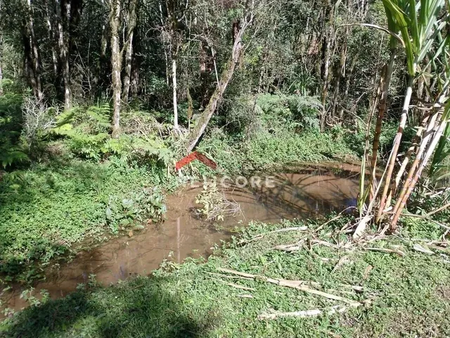 Imagem 4: Chácara em Estrada Conceição dos Correias - Morro da Palha - Campo Magro/Pr