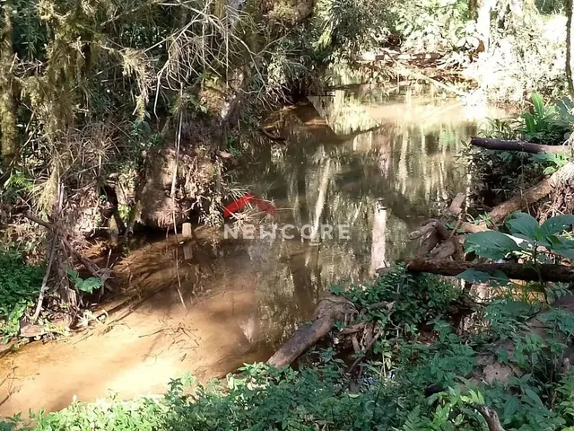 Imagem 10: Chácara em Estrada Conceição dos Correias - Morro da Palha - Campo Magro/Pr