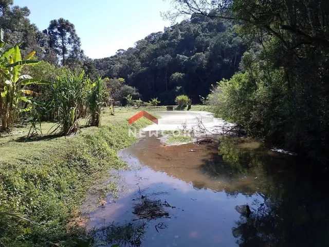 Imagem 8: Chácara em Estrada Conceição dos Correias - Morro da Palha - Campo Magro/Pr