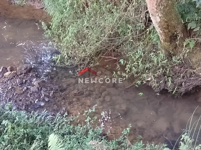 Imagem 2: Chácara em Estrada Conceição dos Correias - Morro da Palha - Campo Magro/Pr