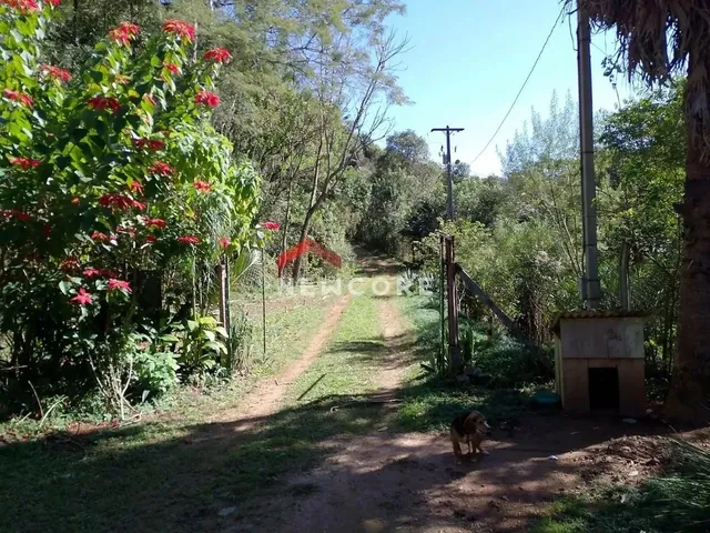Imagem 15: Chácara em Estrada Conceição dos Correias - Morro da Palha - Campo Magro/Pr