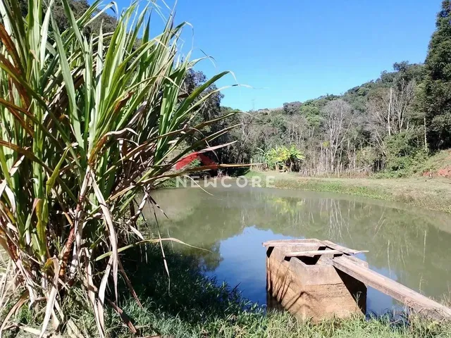 Imagem 5: Chácara em Estrada Conceição dos Correias - Morro da Palha - Campo Magro/Pr