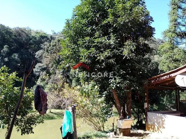 Imagem 16: Chácara em Estrada Conceição dos Correias - Morro da Palha - Campo Magro/Pr