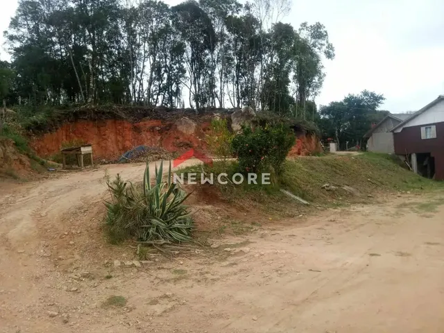 Imagem 13: Chácara em R. Otávio José Kuss - Centro - Quitandinha/Pr