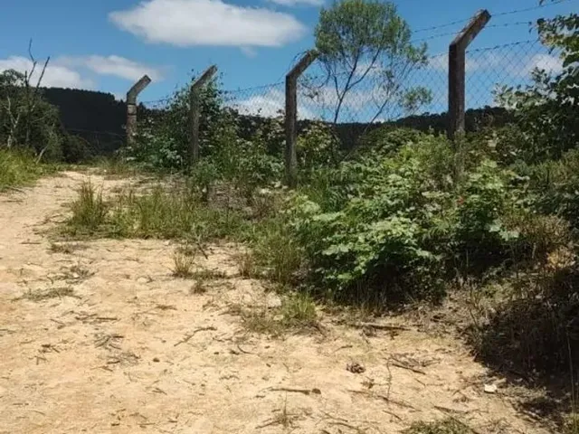 Imagem: Área Rural para Formação de Chácara