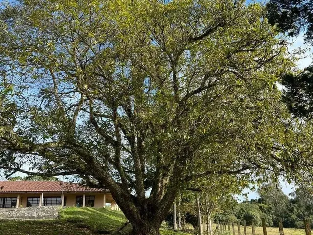 Imagem 1: À Venda, Planta Entremar, Piraquara, Pr