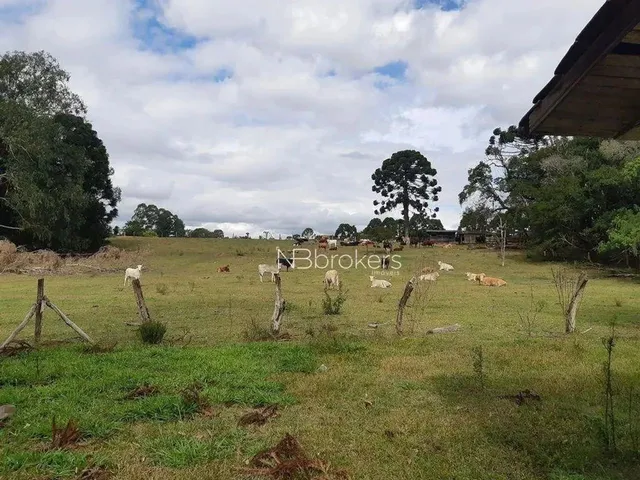 Imagem: Chácara À Venda, 43000 M² por R$ 990.000,00