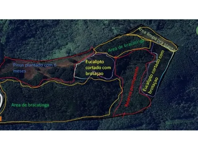 Imagem: Propriedade Rural, com 17 Alqueires